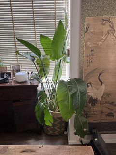 （分類：）位於 。 由 jage85 提交（商品編號 1437451350，圖片 1）。簡介： 。