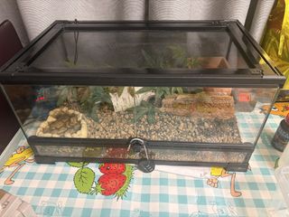 （分類：）位於 。 由 steve__lap 提交（商品編號 1437495047，圖片 1）。簡介： 。
