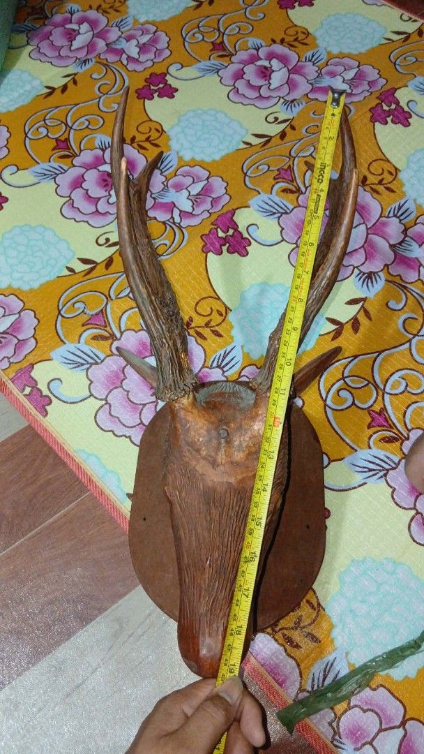 Old ifugao deer head (Category: Vintage Collectibles) located in Cabuyao City. Submitted by happyowl.4d8c6e (Listing ID 1437552065, Image 1). Description: this is a old deer horn carved in a heavy and quality wood from kalinga selling it for 14k no damage..