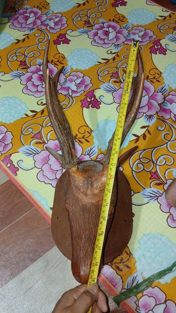 Old ifugao deer head (Category: Vintage Collectibles) located in Cabuyao City. Submitted by happyowl.4d8c6e (Listing ID 1437552065, Image 2). Description: this is a old deer horn carved in a heavy and quality wood from kalinga selling it for 14k no damage..