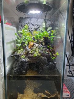 (Category: ) located in . Submitted by ray_8051 (Listing ID 1437547824, Image 1). Description: .
