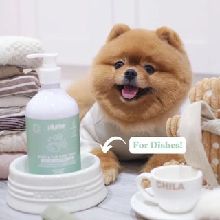 (Category: ) located in . Submitted by petsboutique_sg (Listing ID 1437439204, Image 1). Description: .
