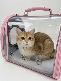 All kinds of stuff for cat lovers Collection item 1