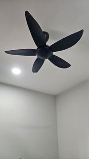 (Category: ) located in . Submitted by pclyong25427 (Listing ID 1437411032, Image 1). Description: .