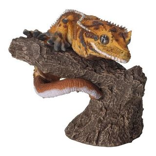 （分類：）位於 。 由 newcognitionbox 提交（商品編號 1437593770，圖片 1）。簡介： 。