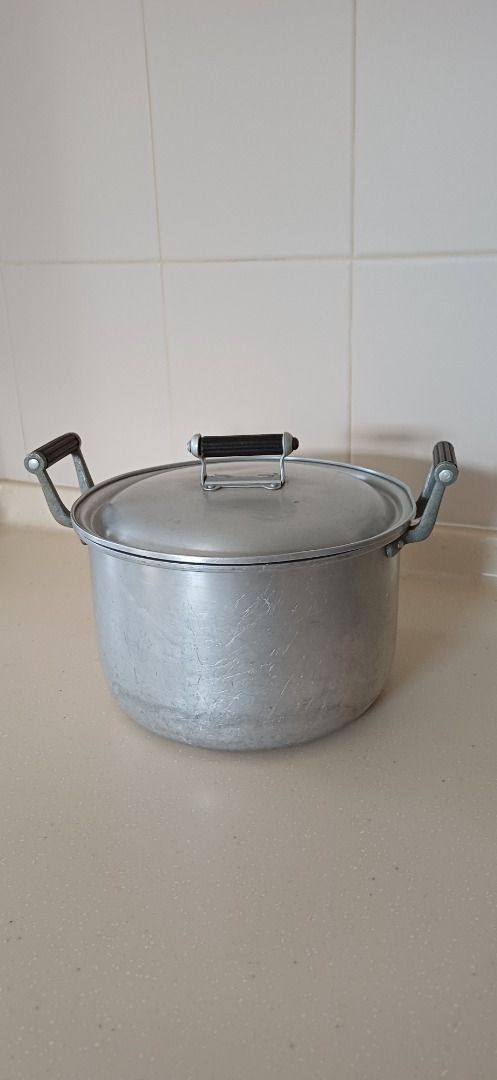 Big Metal Cooking Pot with Lid + Free Steamer Stand