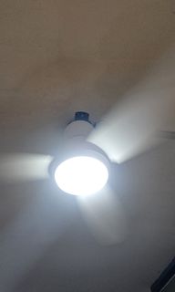 (Category: ) located in . Submitted by xfxMxmxt (Listing ID 1437693795, Image 1). Description: .