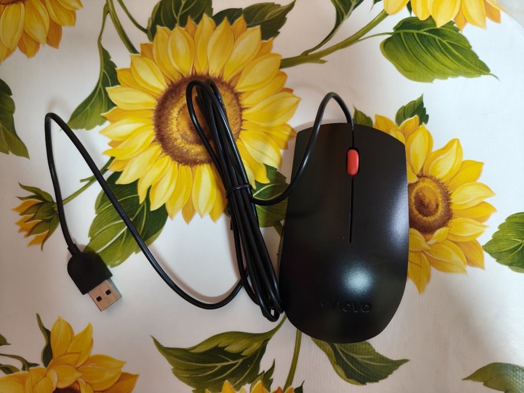 Lenovo USB Wired Mouse452998750725754880