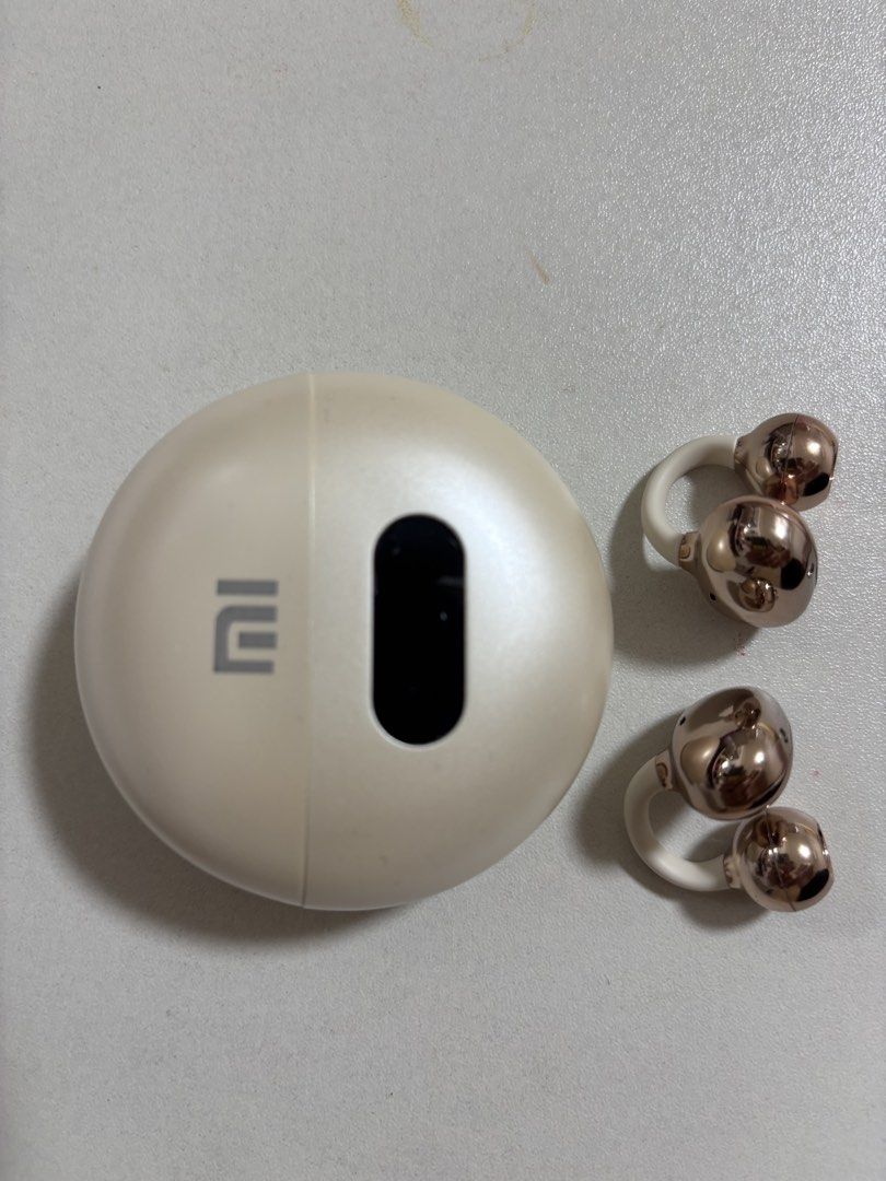 Mi Earphones452873215636285440