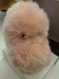（分類：）位於 。 由 kikicoco114 提交（商品編號 1437683659，圖片 1）。簡介： 。