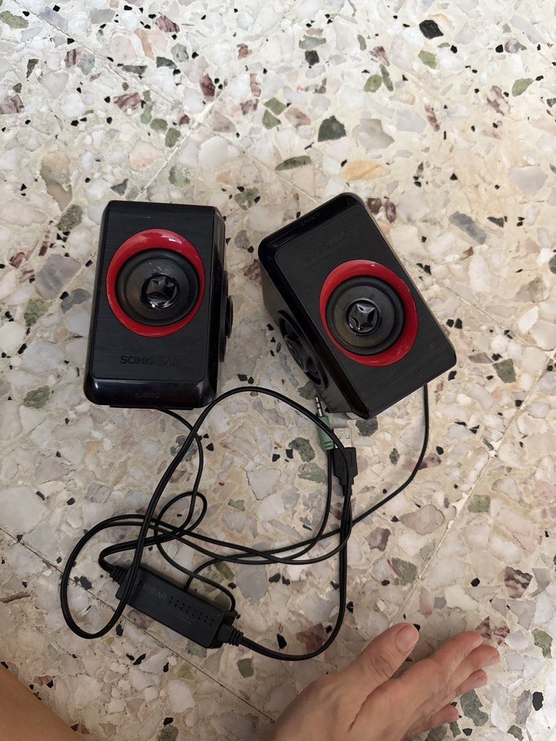 Speaker452896541419786240