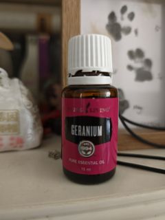 （分類：）位於 。 由 janjan522 提交（商品編號 1437612424，圖片 1）。簡介： 。