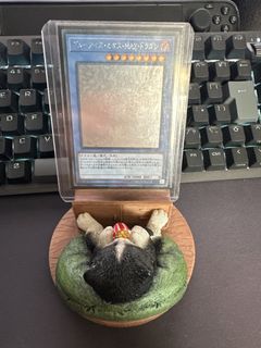 (Category: ) located in . Submitted by dak100221 (Listing ID 1437636443, Image 1). Description: .