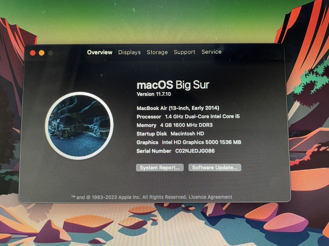 Apple MacBook Air (13-inch, Early 2014)