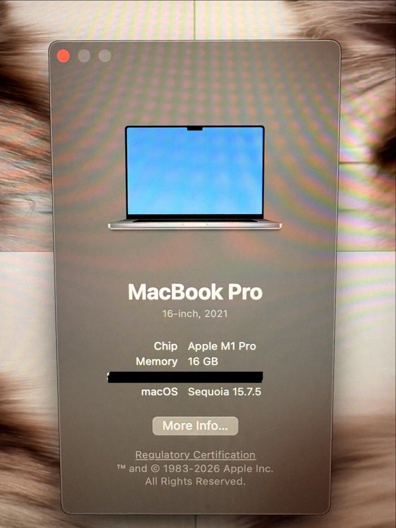 Apple MacBook Pro 16-inch (2021)