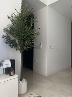 (Category: ) located in . Submitted by mdukes (Listing ID 1437806709, Image 1). Description: .
