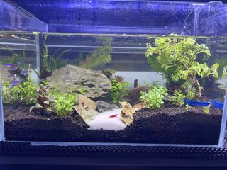 (Category: ) located in . Submitted by hostw (Listing ID 1436997244, Image 1). Description: .