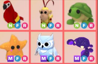 (Category: ) located in . Submitted by getoutofmylifenoob (Listing ID 1437861492, Image 1). Description: .