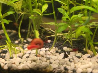 (Category: ) located in . Submitted by d7pan (Listing ID 1437764373, Image 1). Description: .