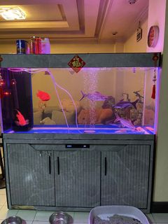 (Category: ) located in . Submitted by ronycai (Listing ID 1437795958, Image 1). Description: .