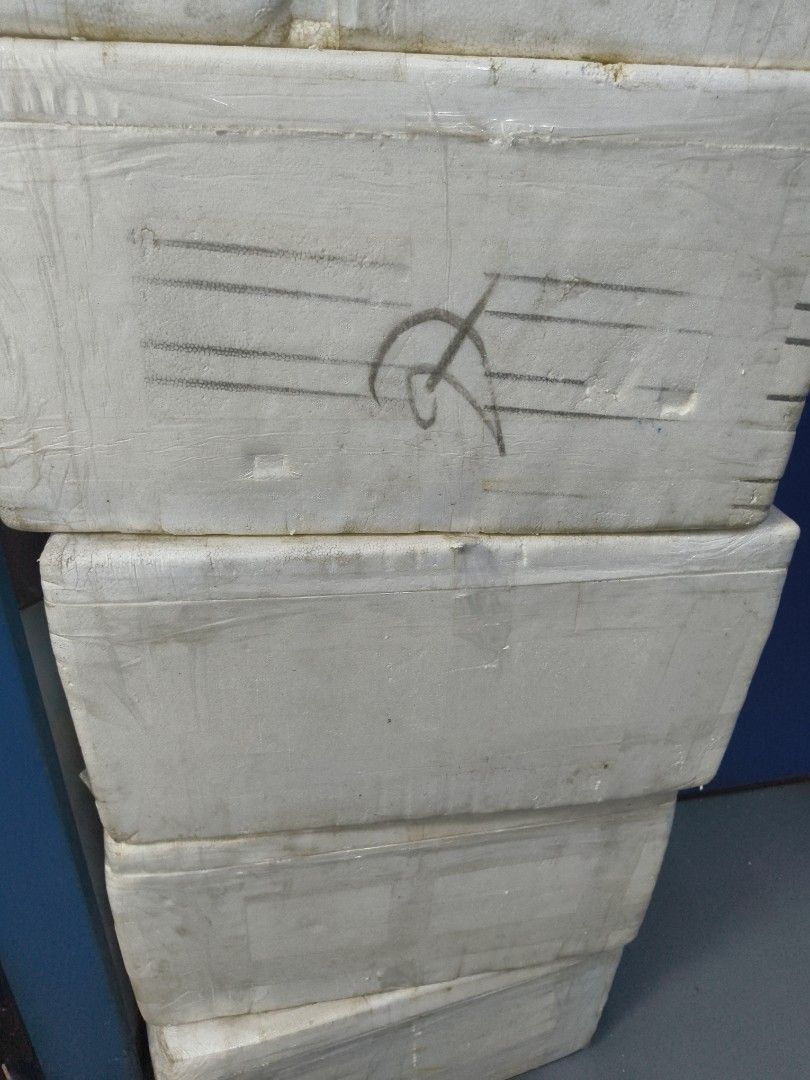 Styrofoam boxes453957150678067200