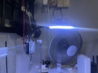 (Category: ) located in . Submitted by noalibaba (Listing ID 1437875657, Image 1). Description: .