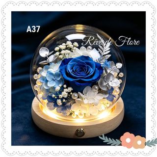 （分類：）位於 。 由 forever_love 提交（商品編號 1437943949，圖片 1）。簡介： 。