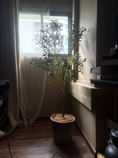 (Category: ) located in . Submitted by aida2 (Listing ID 1437941997, Image 1). Description: .