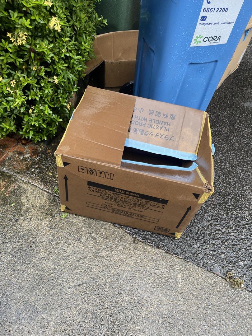 Assorted Cardboard Boxes - Various Sizes454667708925235203