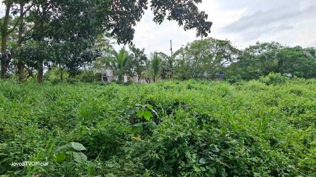Below Zonal Value Nusa Dua Farm Lot For Sale in Tanza Cavite (Category: Lot) located in Cavite. Submitted by giovanni.espinosa (Listing ID 1438013784, Image 3). Description: Nusa Dua Farm Estate in Tanza | Cavite Lot For Sale 💰 Price: ₱6,500 / SQM LA: 1,060 square meters Features: *Residential Farm Lot *Flat Lot *Next to Corner Lot * Orientation: Facing East Note: - Below Zonal Value price Title Status: Clean Title Ownership: Individual DIRECT T