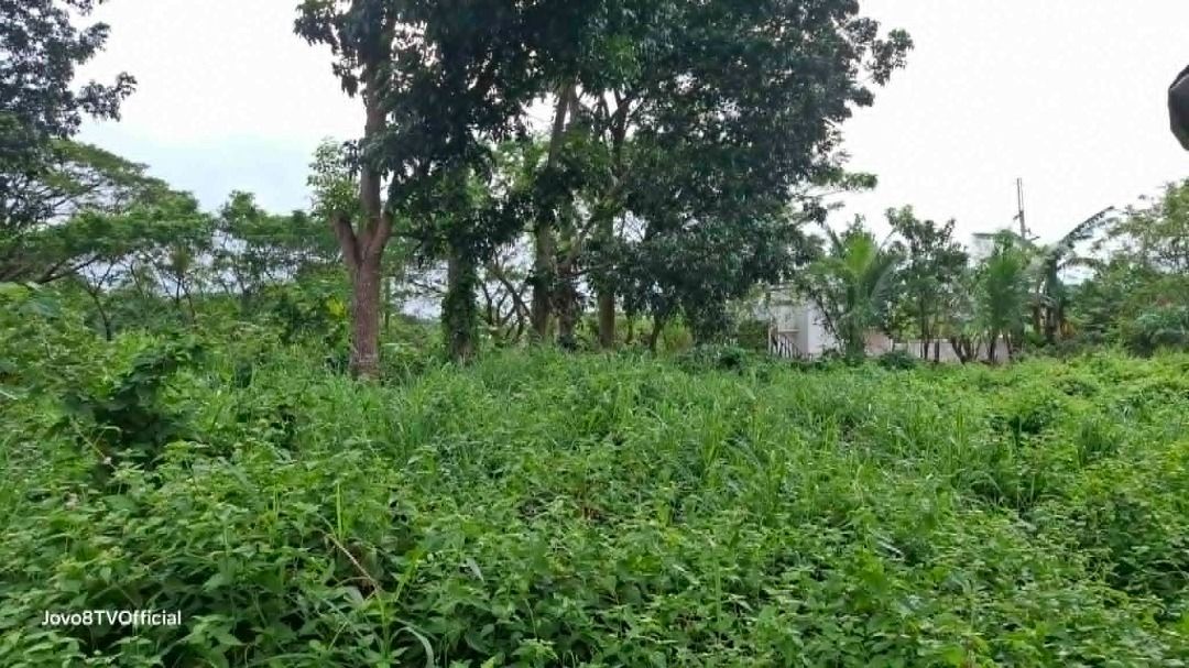 Below Zonal Value Nusa Dua Farm Lot For Sale in Tanza Cavite (Category: Lot) located in Cavite. Submitted by giovanni.espinosa (Listing ID 1438013784, Image 2). Description: Nusa Dua Farm Estate in Tanza | Cavite Lot For Sale 💰 Price: ₱6,500 / SQM LA: 1,060 square meters Features: *Residential Farm Lot *Flat Lot *Next to Corner Lot * Orientation: Facing East Note: - Below Zonal Value price Title Status: Clean Title Ownership: Individual DIRECT T