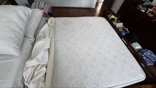 (Category: ) located in . Submitted by matcy (Listing ID 1438076733, Image 1). Description: .