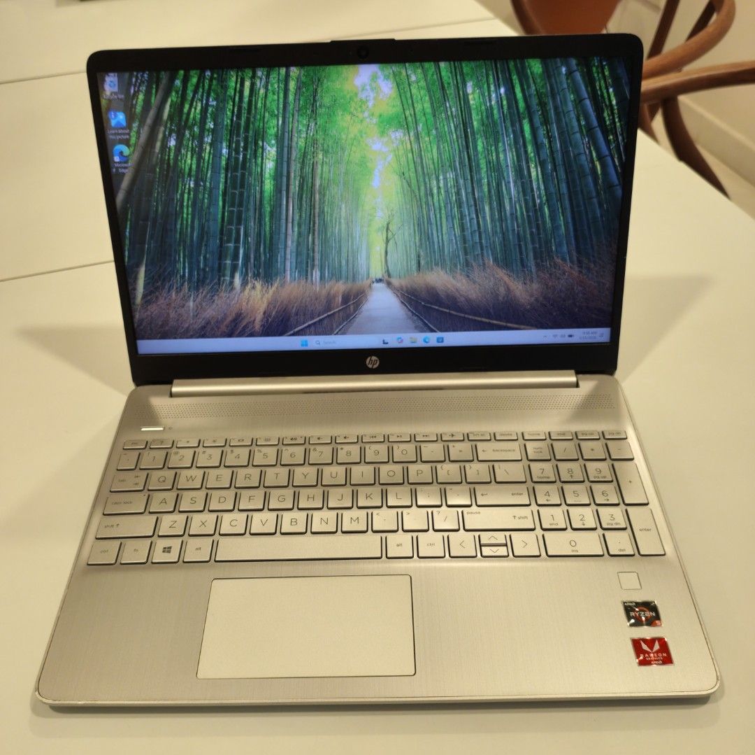 HP Laptop - Silver454596228180224000