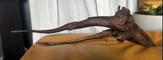 (Category: ) located in . Submitted by carlleroy (Listing ID 1438001837, Image 1). Description: .