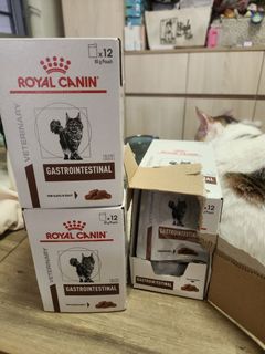 （分類：）位於 。 由 puredog.0a8fc5 提交（商品編號 1437952026，圖片 1）。簡介： 。