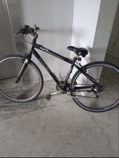 (Category: ) located in . Submitted by aaross17 (Listing ID 1437949052, Image 1). Description: .
