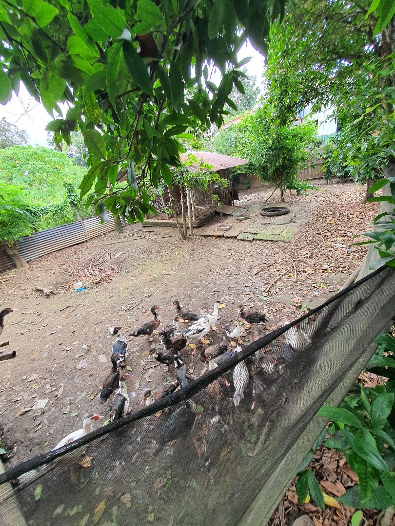 Vacant Lot for sale (Category: Lot) located in Oton. Submitted by jul102817 (Listing ID 1437973927, Image 2). Description: Direct owner Lot area 800 sqm Residential 4,000/sq meter Ideal for retirement haven due to its good location to nearby mall,Hospitals and International Airport..