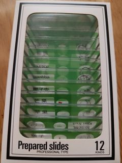 （分類：）位於 。 由 vastgem_3ced23 提交（商品編號 1438255014，圖片 1）。簡介： 。