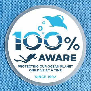 (Category: ) located in . Submitted by sharkfin.stickers (Listing ID 1438215613, Image 1). Description: .