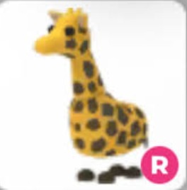 （分類：）位於 。 由 rum_store 提交（商品編號 1438168547，圖片 1）。簡介： 。