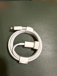 Apple Lightning Charging Cable461582592859842560