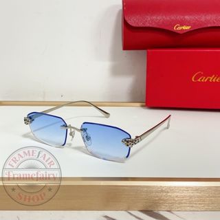 sunglasses Collection item 1