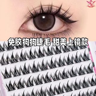 (Category: ) located in . Submitted by ryuvnss (Listing ID 1438279282, Image 1). Description: .