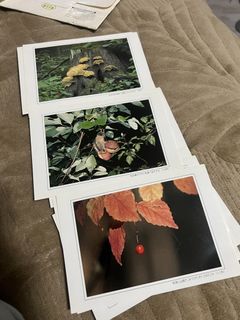 (Category: ) located in . Submitted by stellaaaa03 (Listing ID 1438255204, Image 1). Description: .
