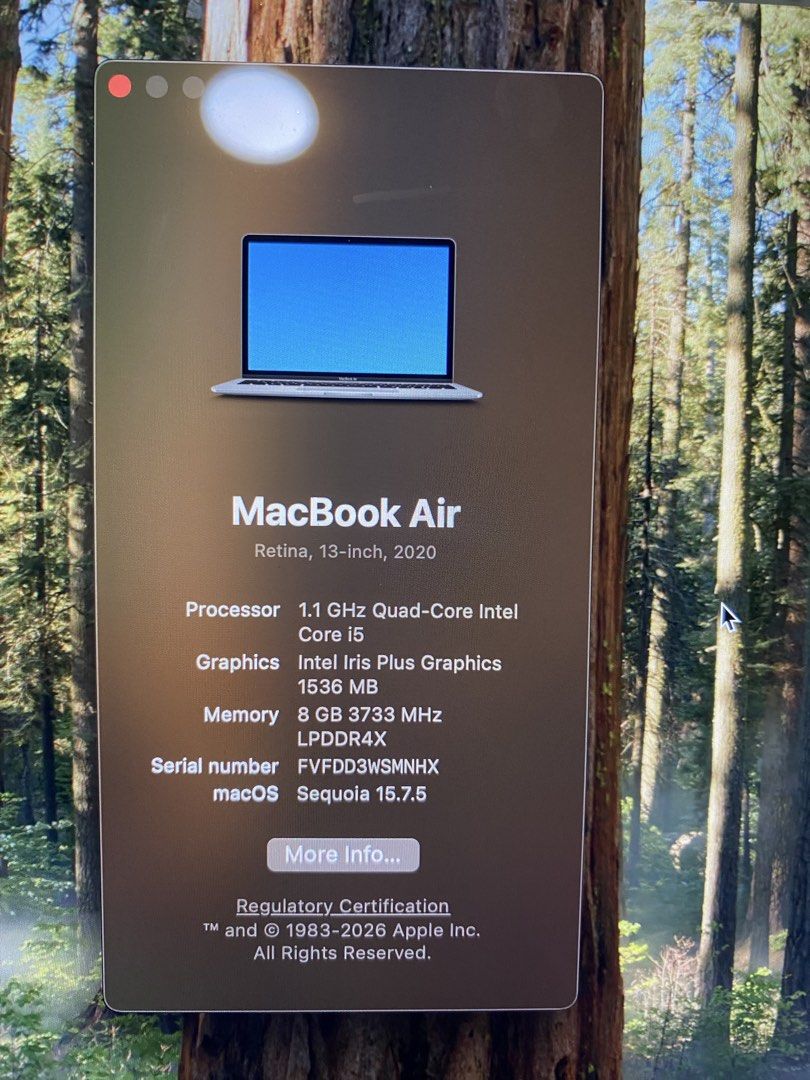 MacBook Air 13-inch (2020)455679529463336962
