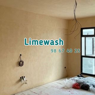 Limewash Painting  Collection item 3