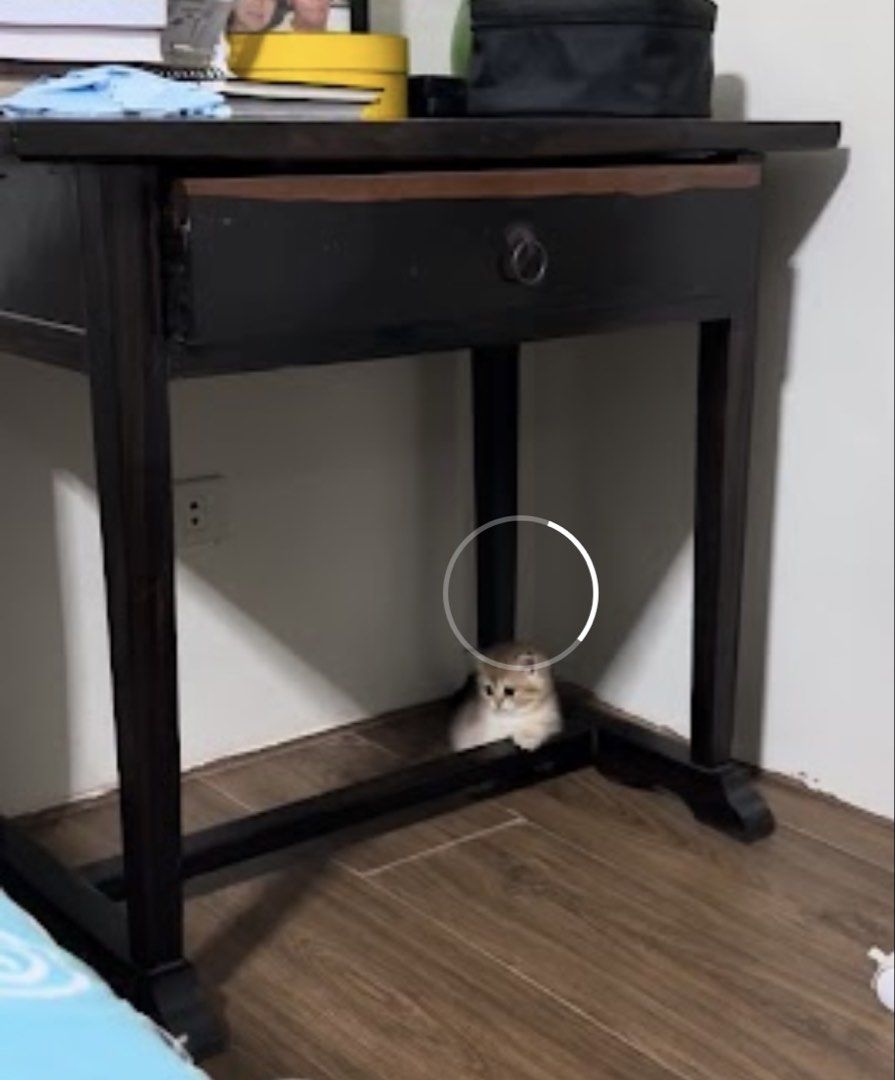 Pure Kamagong Table with Drawer (Category: Tables & Sets) located in Manila. Submitted by golden.leeanne (Listing ID 1438298999, Image 2). Description: - Old piece 30years old from purchase - Wooden side table - Single drawer with metal handle - Dark finish - Light wood grain tabletop - Four-legged design - Perfect for bedroom or living room - Stylish and practical.