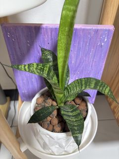 (Category: ) located in . Submitted by jielin79 (Listing ID 1438252294, Image 1). Description: .