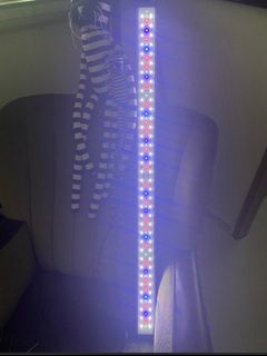 (Category: ) located in . Submitted by poptart (Listing ID 1438217401, Image 1). Description: .