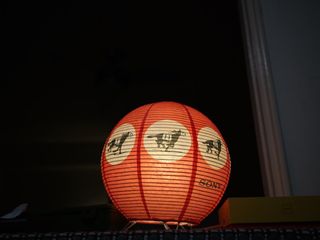 由 aahhppoo (刊登 ID 1438481241，圖片 1) 提交，位於 的 (類別：)，說明：。